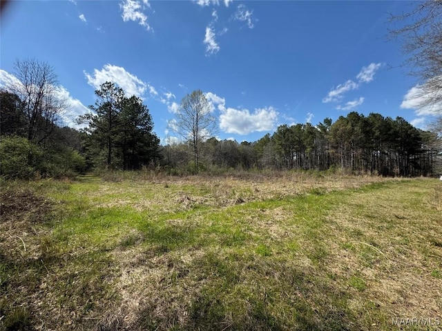O Merritt Ln, Prattville, AL 36067