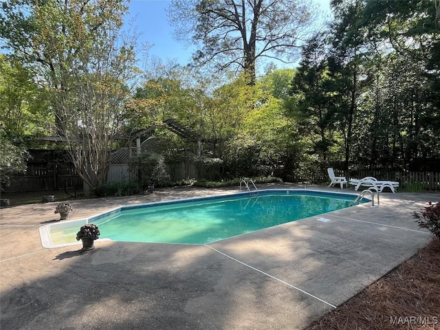 view of swimming pool featuring a fenced in pool, a patio area, and a fenced backyard