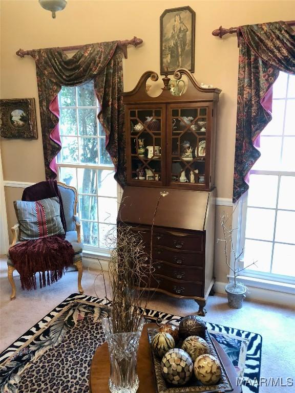 9 Chambliss Dr, Selma, AL 36701 - photo 22
