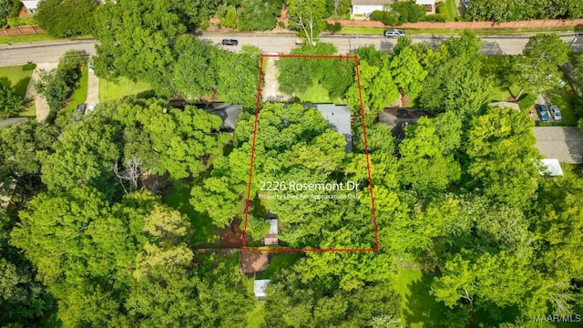 2226 Rosemont Dr, Montgomery, AL 36111 - photo 45