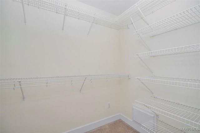 view of spacious closet