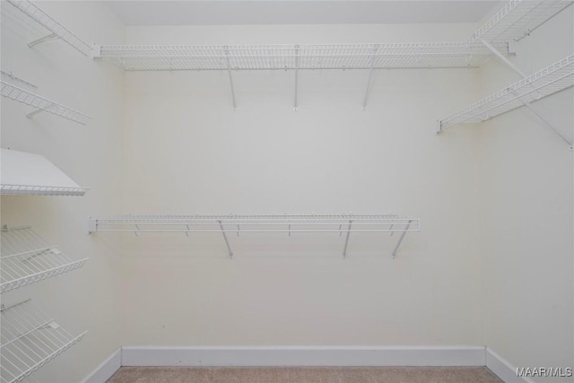 walk in closet with carpet