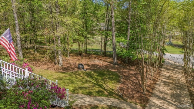 view of yard
