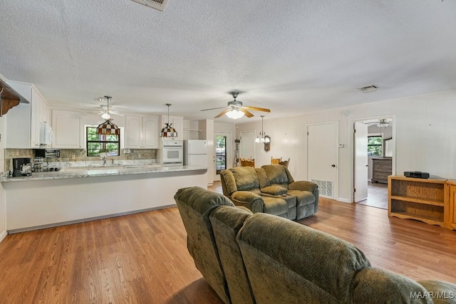 210 Weluvit Ln, Titus, AL 36080 - living room with a ceiling fan, light wood finished floors, and a textured ceiling