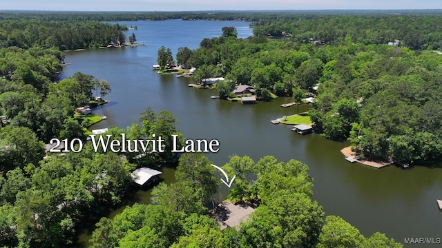 210 Weluvit Ln, Titus, AL 36080 - drone / aerial view of a heavily wooded area and a nearby body of water