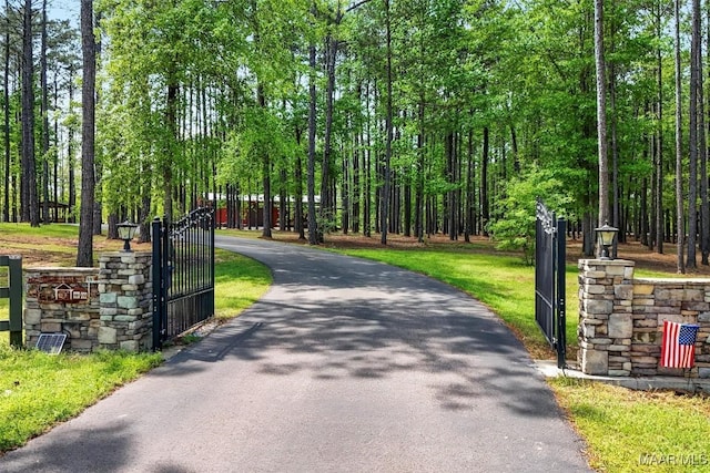 177 Tankersley Rd, Wetumpka, AL 36092 - view of home's community with aphalt driveway and a gate
