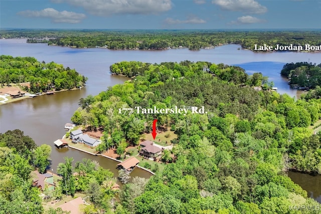 177 Tankersley Rd, Wetumpka, AL 36092 - birds eye view of property with a water view and a forest view
