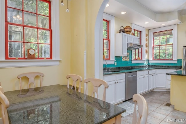 kitchen featuring under cabinet range hood, stainless steel dishwasher, a sink, and plenty of natural light