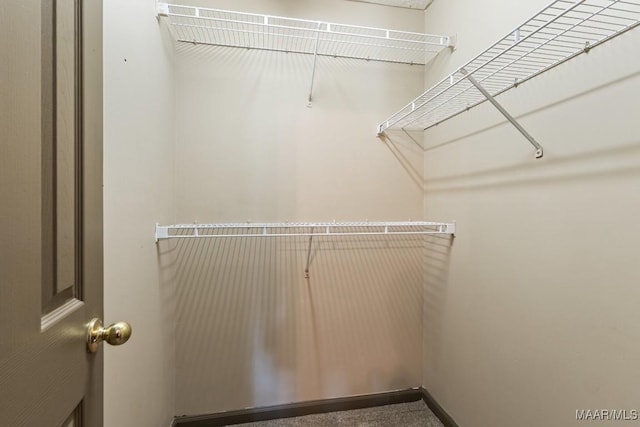 view of walk in closet