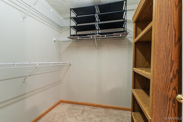 spacious closet with carpet flooring