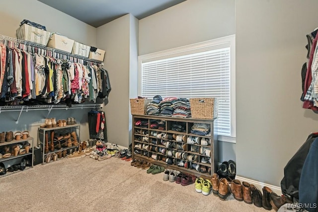 184 Houston St, Prattville, AL 36066 - walk in closet with carpet floors