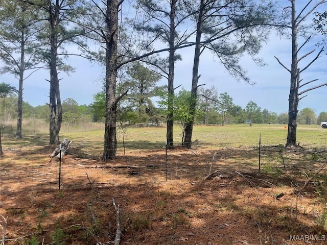 2153 County Road 57, Prattville, AL 36067 - photo 46