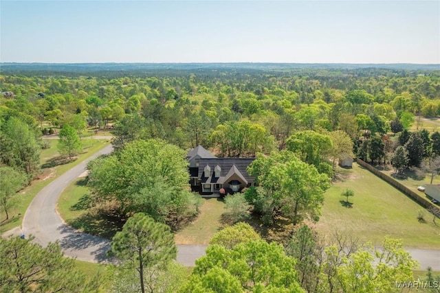 688 Yosemite Pkwy, Prattville, AL 36067 - photo 63
