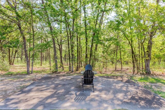 688 Yosemite Pkwy, Prattville, AL 36067 - photo 52