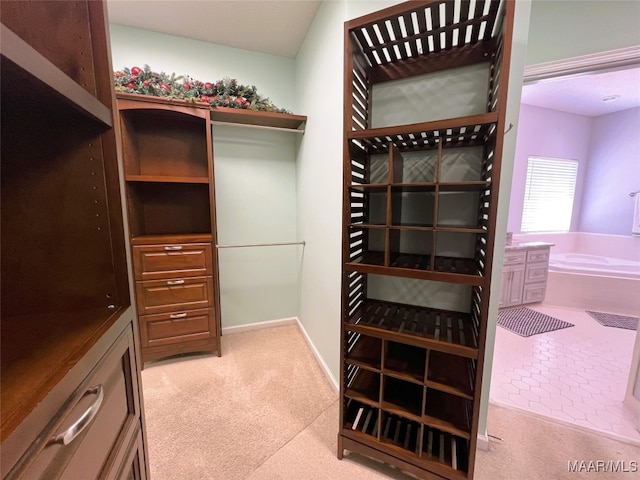 spacious closet featuring carpet floors