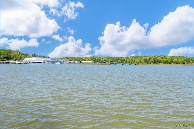763 Winding Rd Unit 5, Dadeville, AL 36853