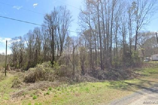 0 Kerri Ln W, Boaz, AL 35956 - photo 2