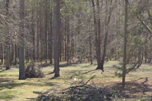1 Kerri Ln W, Boaz, AL 35956 - photo 4