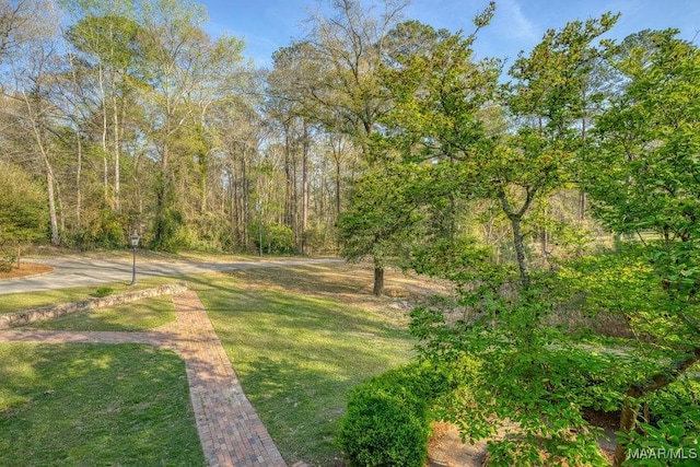 101 Harrogate Springs Rd, Wetumpka, AL 36093 - photo 12