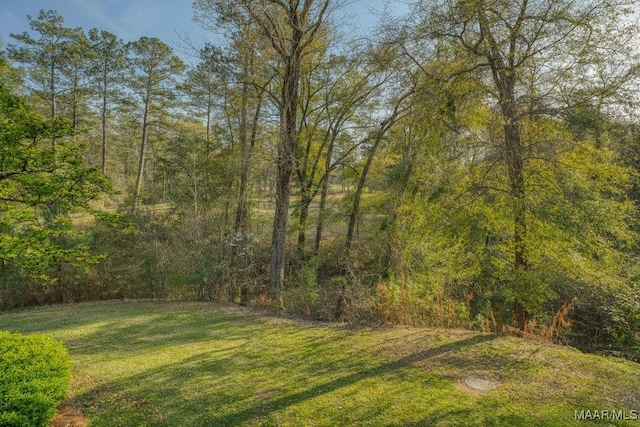 view of green lawn with a view of trees