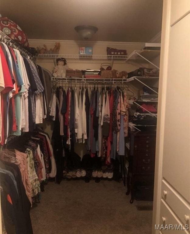 walk in closet featuring carpet floors