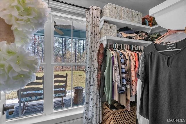 view of spacious closet