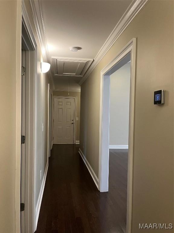 corridor featuring attic access, baseboards, crown molding, and dark wood-style floors