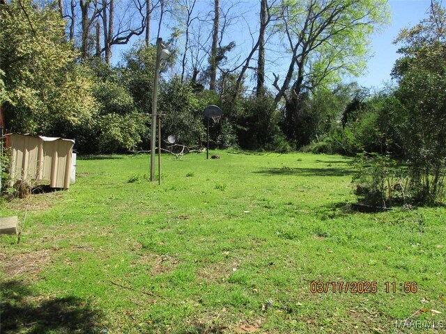 view of yard