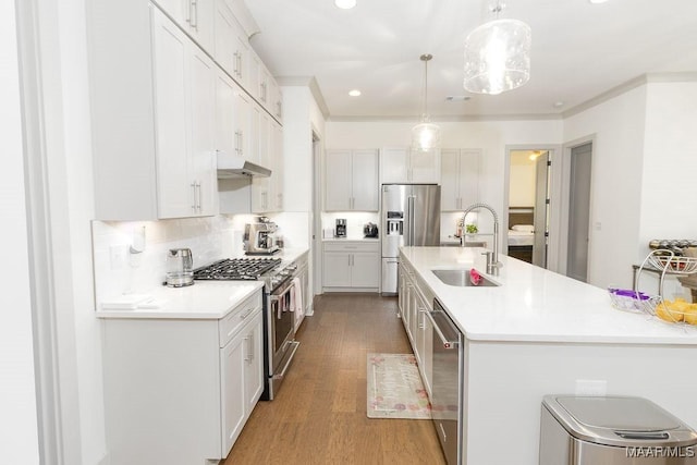 kitchen featuring a sink, under cabinet range hood, light countertops, appliances with stainless steel finishes, and wood finished floors