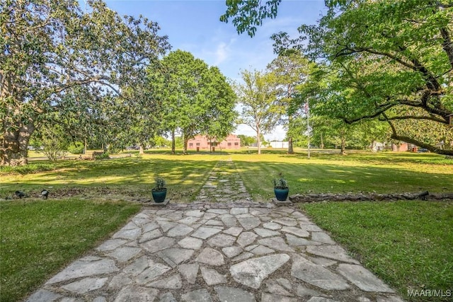 100 S Franklin Ave, Luverne, AL 36049 - view of community with a lawn