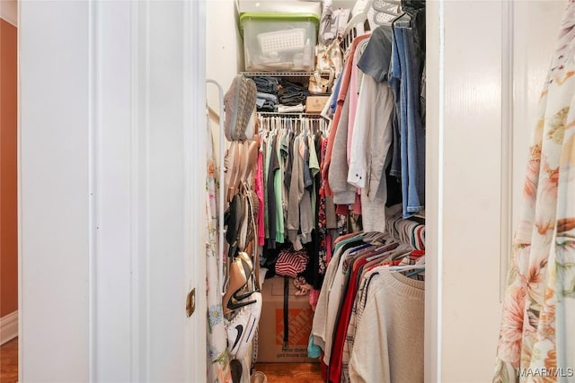 100 S Franklin Ave, Luverne, AL 36049 - view of spacious closet