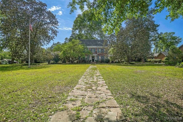 100 S Franklin Ave, Luverne, AL 36049 - view of yard