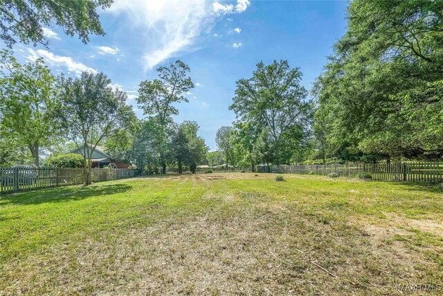 100 S Franklin Ave, Luverne, AL 36049 - view of yard featuring fence