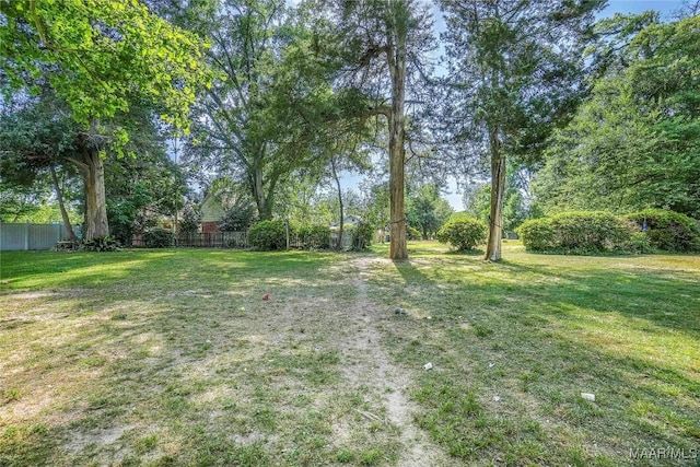 100 S Franklin Ave, Luverne, AL 36049 - view of yard featuring fence