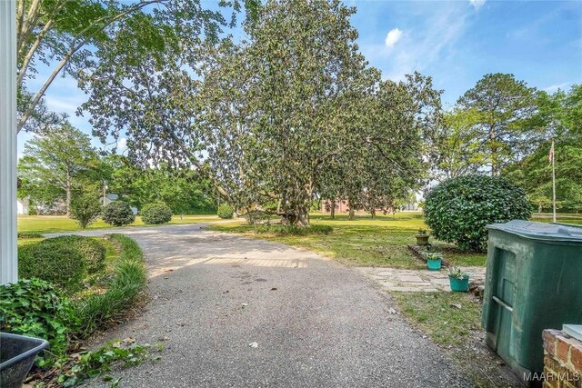 100 S Franklin Ave, Luverne, AL 36049 - view of street