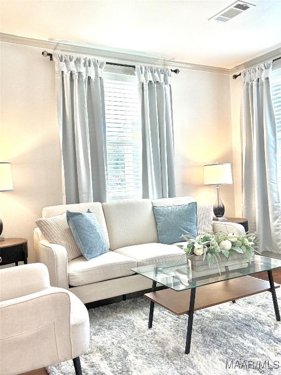 644 Iris Ln, Montgomery, AL 36105 - living area featuring ornamental molding
