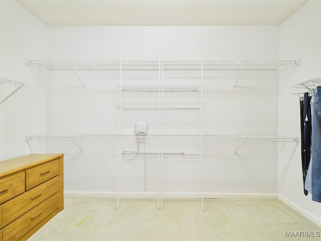 walk in closet featuring light colored carpet