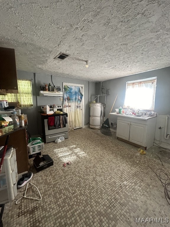 miscellaneous room featuring a textured ceiling, visible vents, and carpet floors