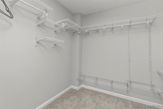 733 Cartwright Rd, Titus, AL 36080 - spacious closet featuring carpet flooring