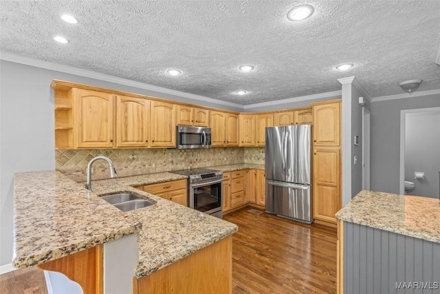 733 Cartwright Rd, Titus, AL 36080 - kitchen with a sink, stainless steel appliances, light stone countertops, ornamental molding, and a peninsula