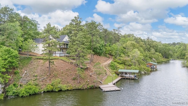 733 Cartwright Rd, Titus, AL 36080 - birds eye view of property with a water view and a wooded view