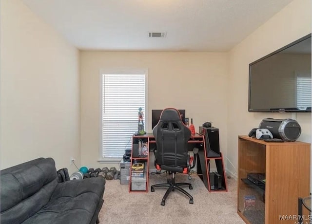 7648 Steele Ridge Dr, Montgomery, AL 36117 - view of carpeted home office