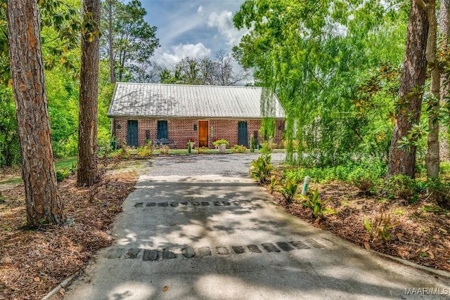 view of front of house featuring driveway and metal roof