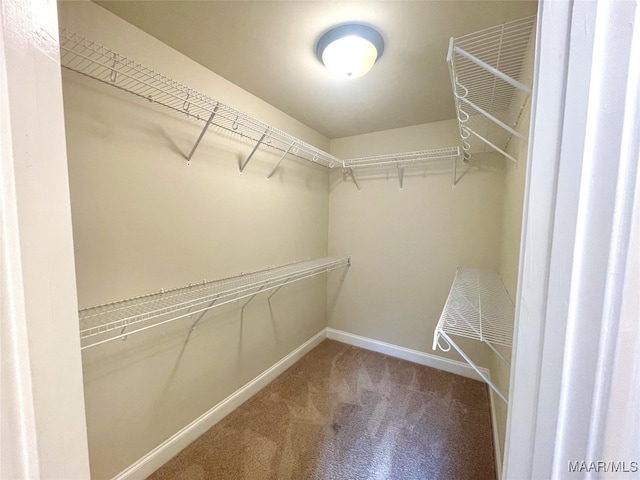 walk in closet featuring carpet