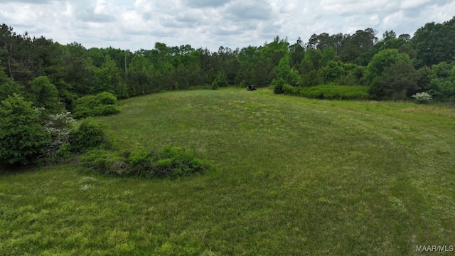 2667 Claud Rd, Eclectic, AL 36024