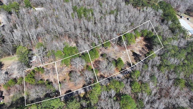 618 Nichols Ave, Eclectic, AL 36024