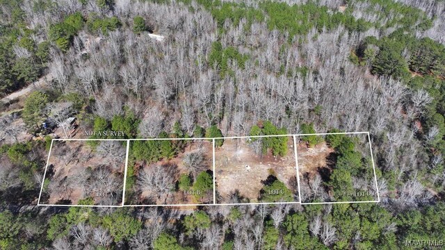 618 Nichols Ave, Eclectic, AL 36024