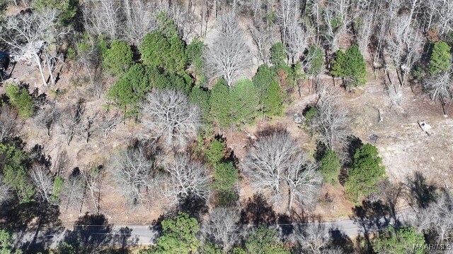 618 Nichols Ave, Eclectic, AL 36024