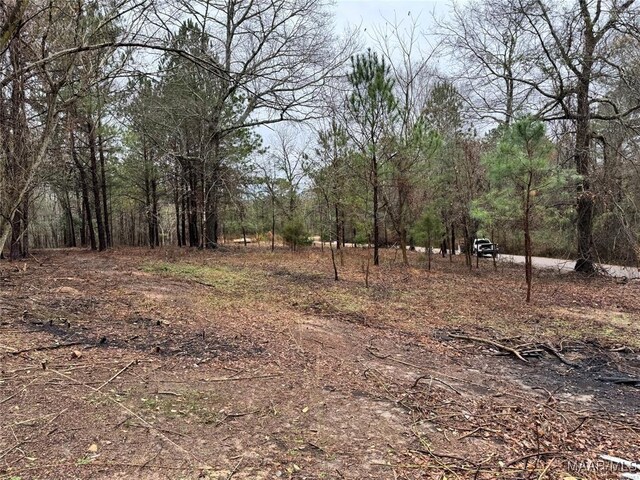 618 Nichols Ave, Eclectic, AL 36024