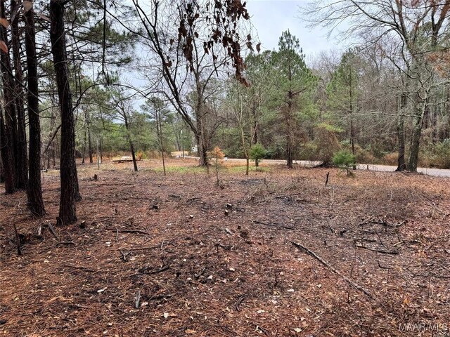 618 Nichols Ave, Eclectic, AL 36024